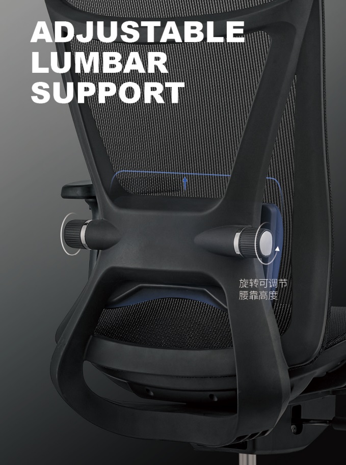 Renard adjust lumbar